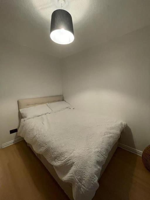 Appartement Beautiful 2 Bedroom Flat In London! Near Excel O2 Arena And Central! With Garden Londres