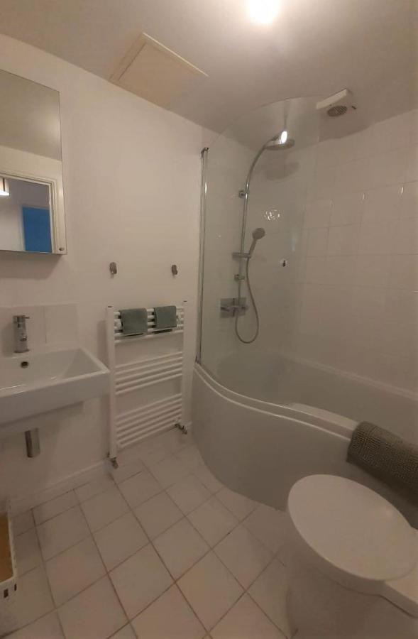 2 Bedroom Victorian Garden Flat Londres