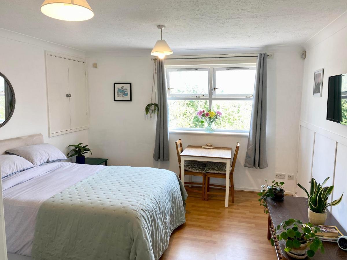 Apartment Bright And Comfortable Studio London
