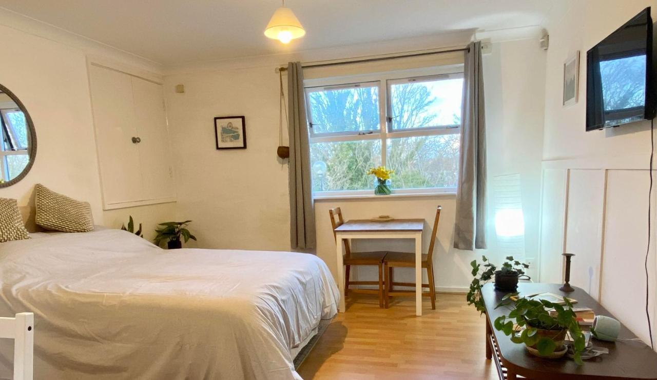 Bright And Comfortable Studio *