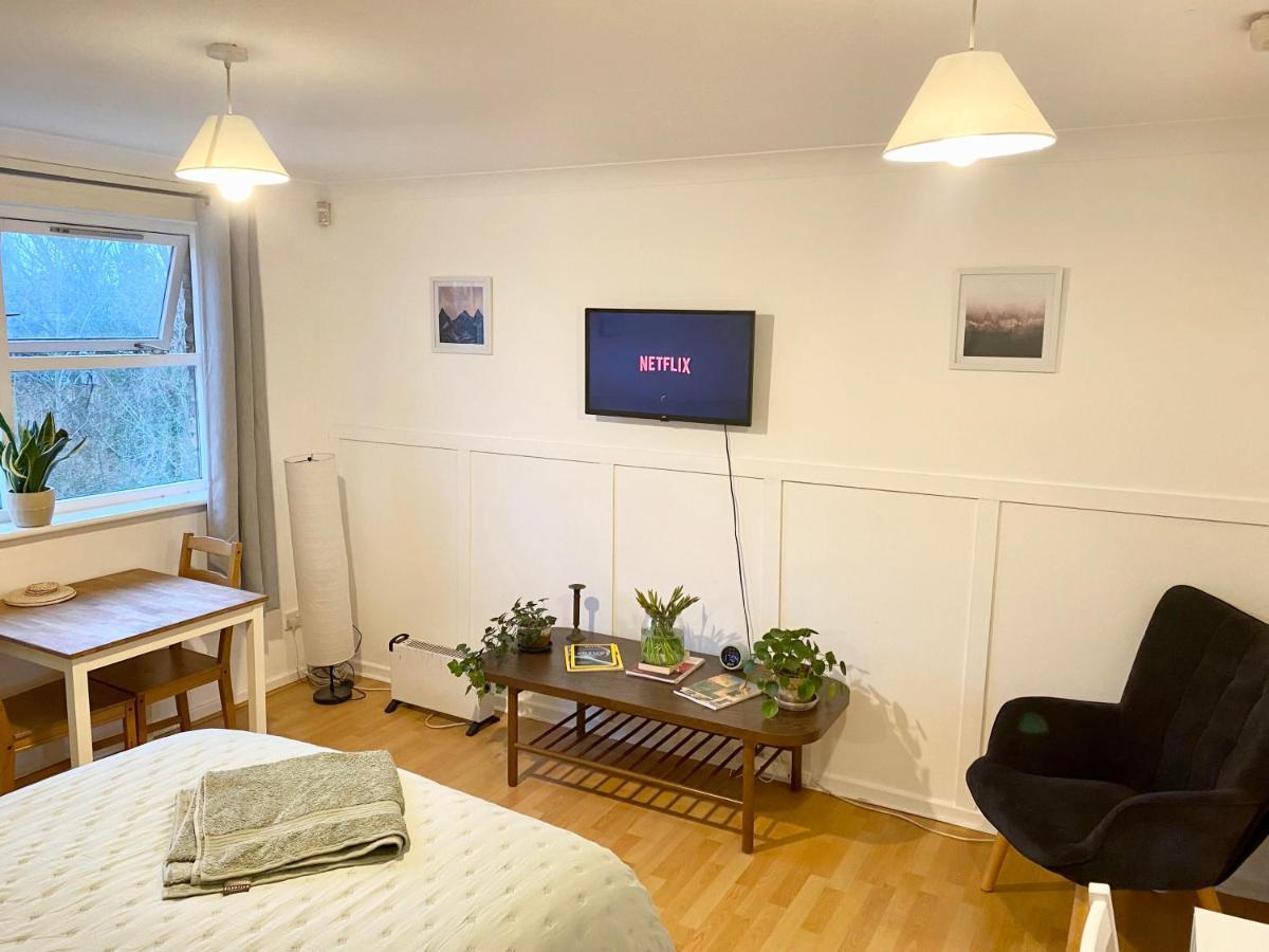 Apartment Bright And Comfortable Studio