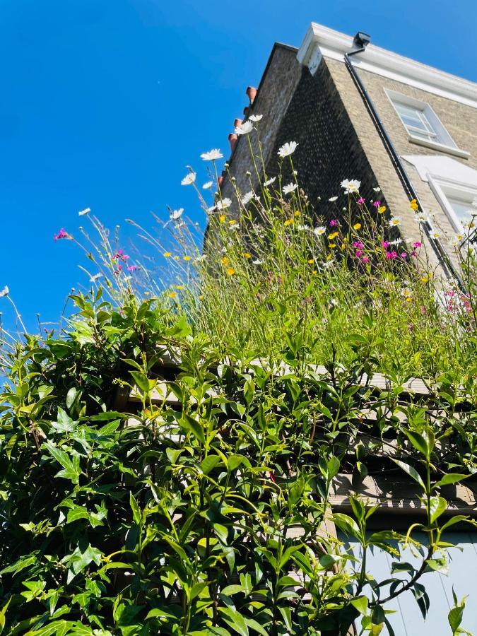 Gasthof Camden Town Garden
