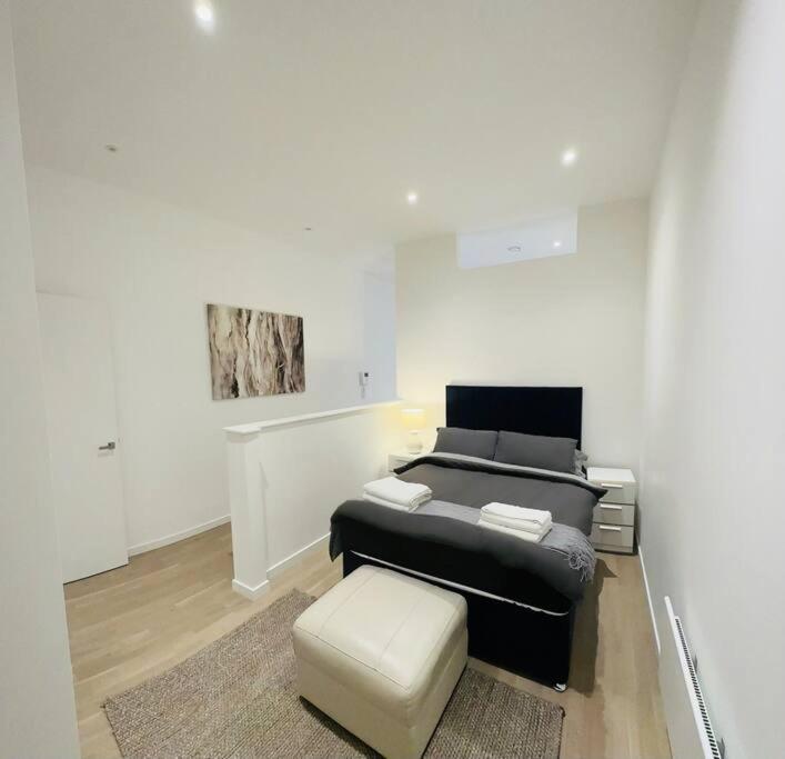 Apartment Spacious Flat, Fast Wifi, Free Parking London