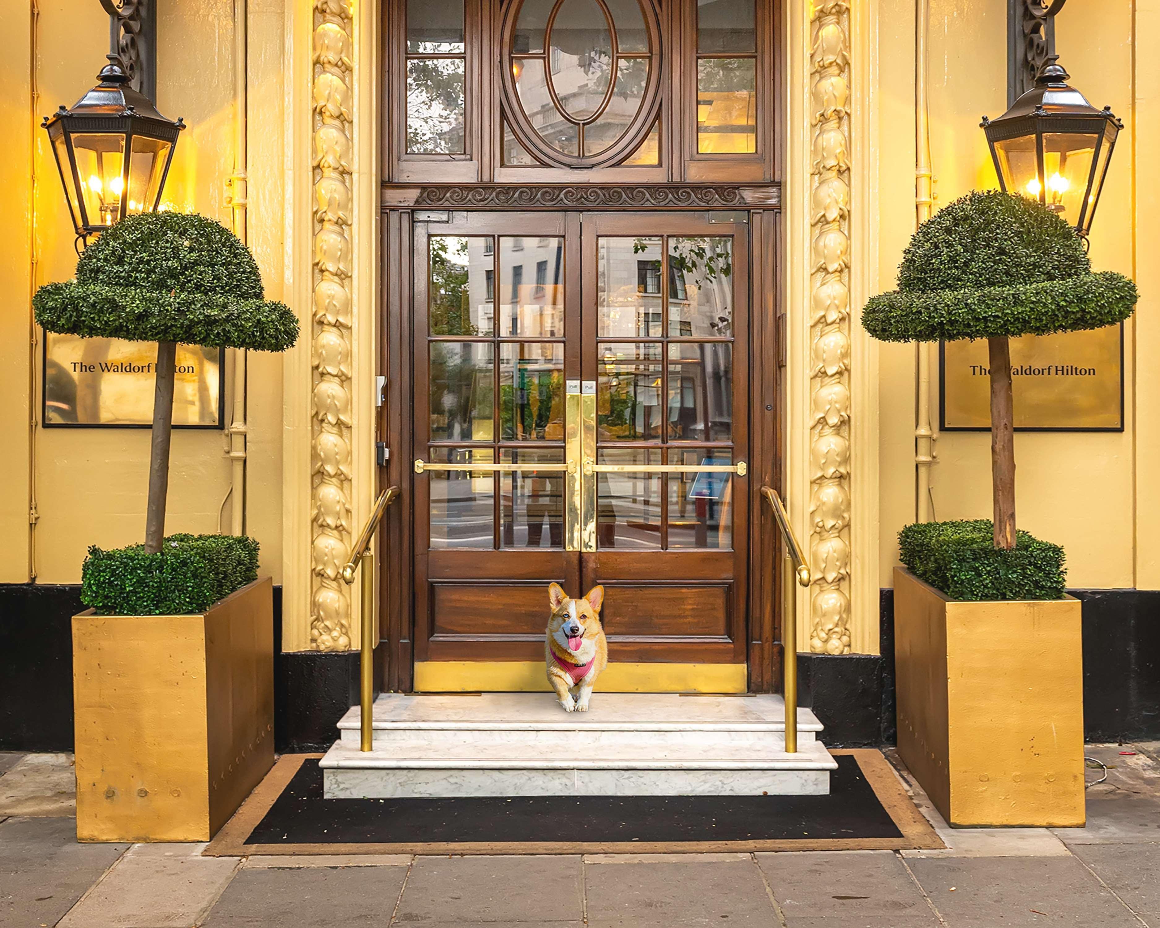 The Waldorf Hilton 4* Londres