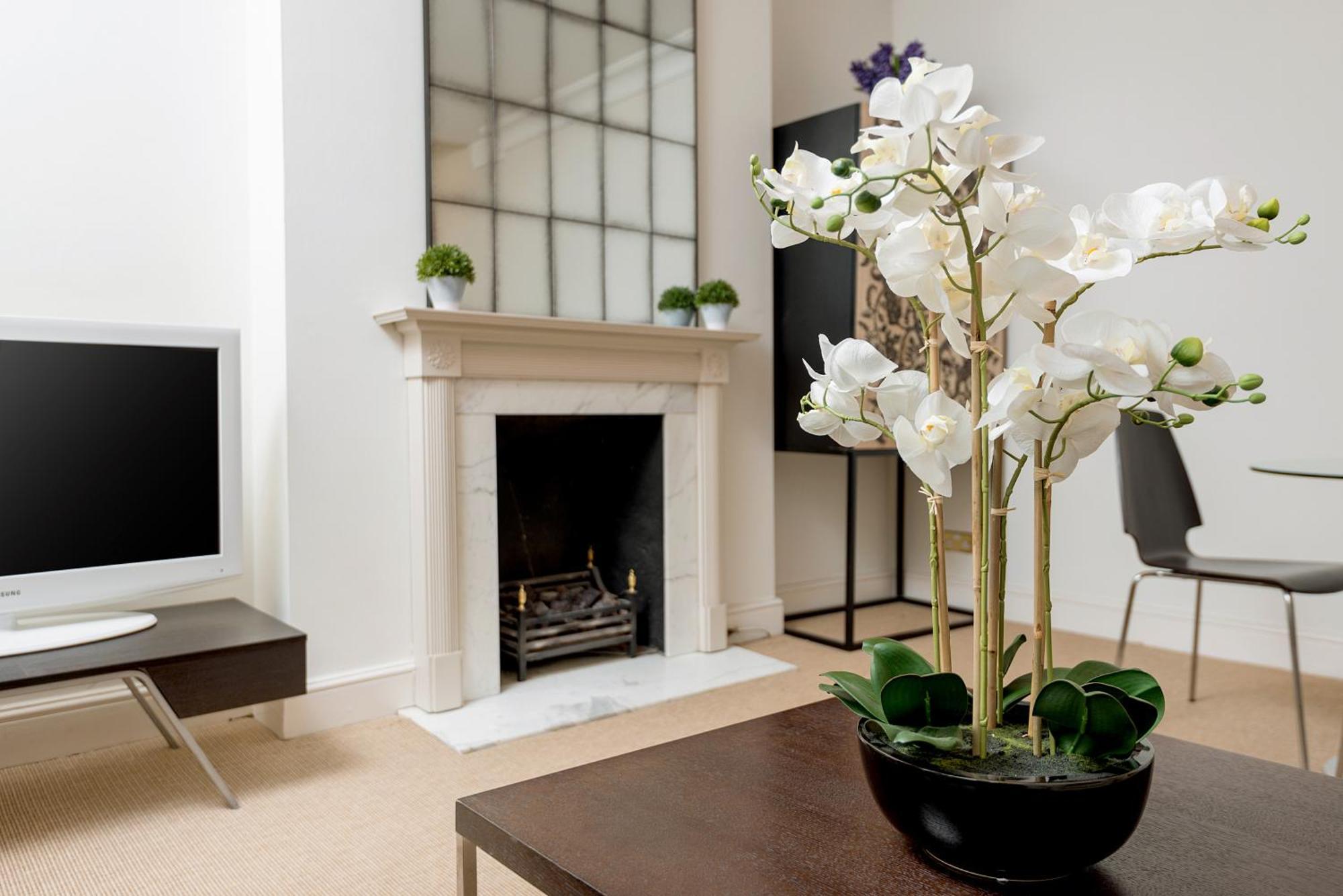 Spacious, Calm One Bedroom Apartment *