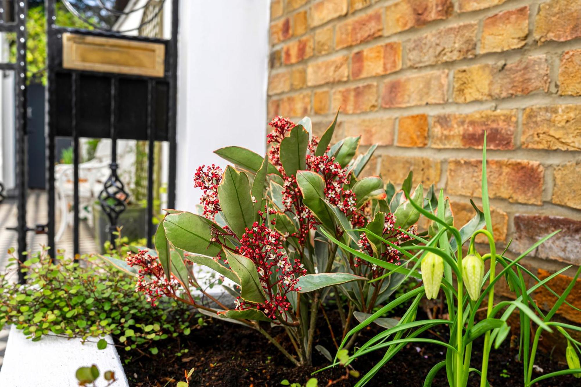 Joivy Elegant 2 Bed Near Hampstead And Camden, Sleeps 4 * Londres