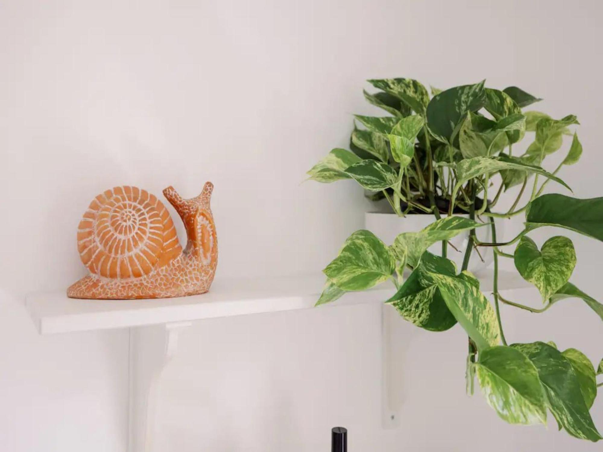 Apartamento Pass The Keys Charming Victorian Gem By Portobello Market