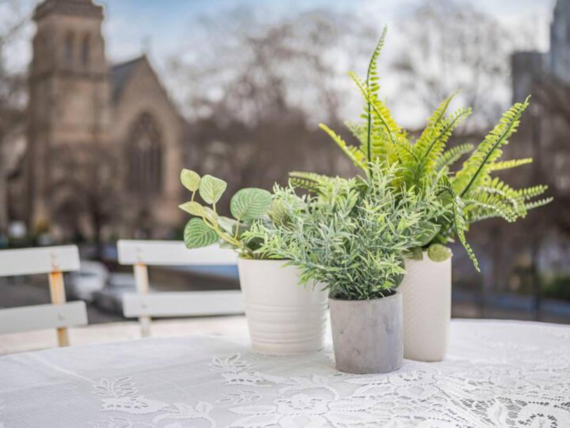 Chic Cosy Flat In Pimlico, Central Pass The Keys
