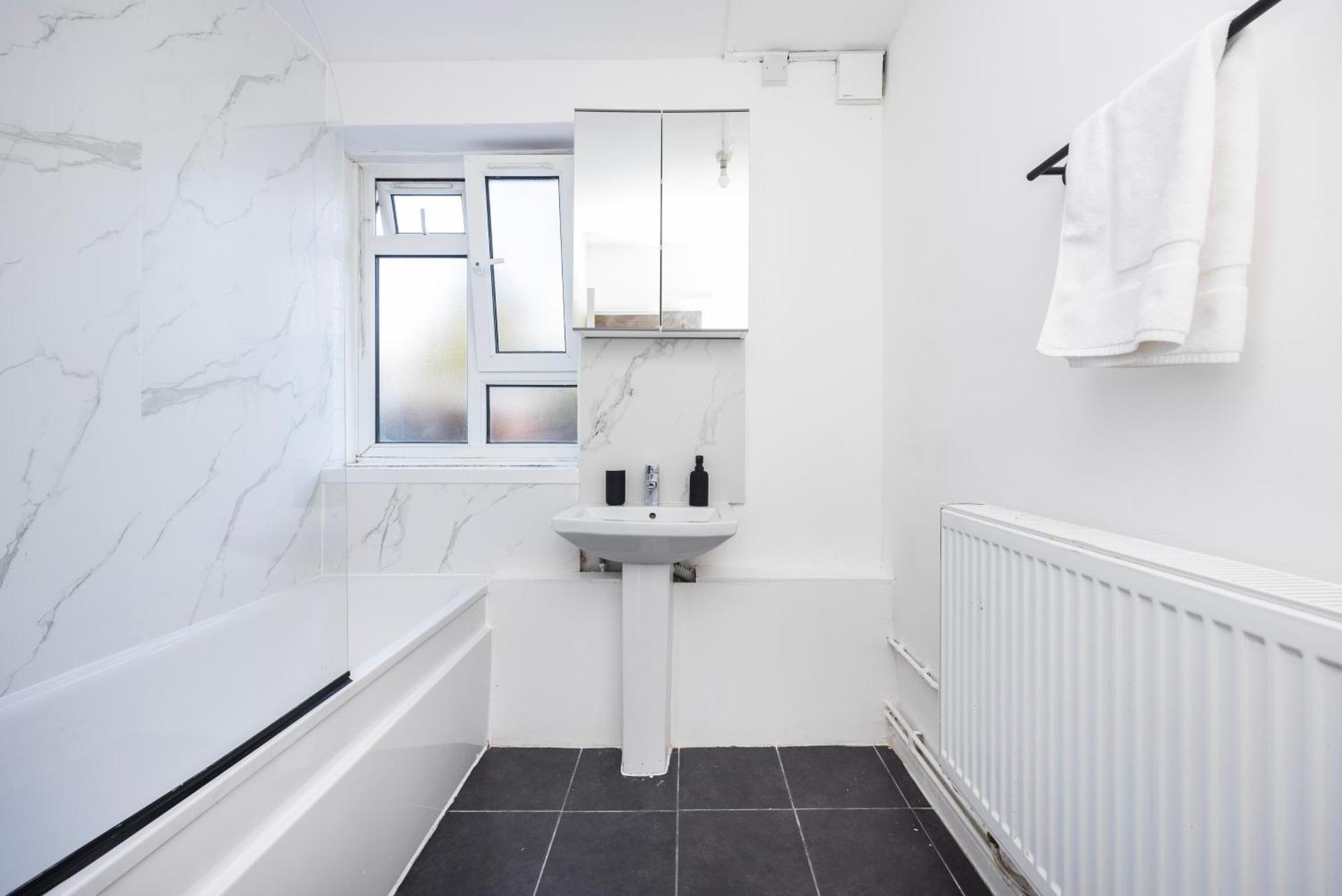 Modern 2 Bedroom Near Brixton Station Appartement