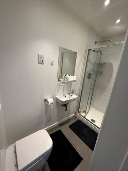 Sleep 6 Piccadilly Grand In Vr5 London