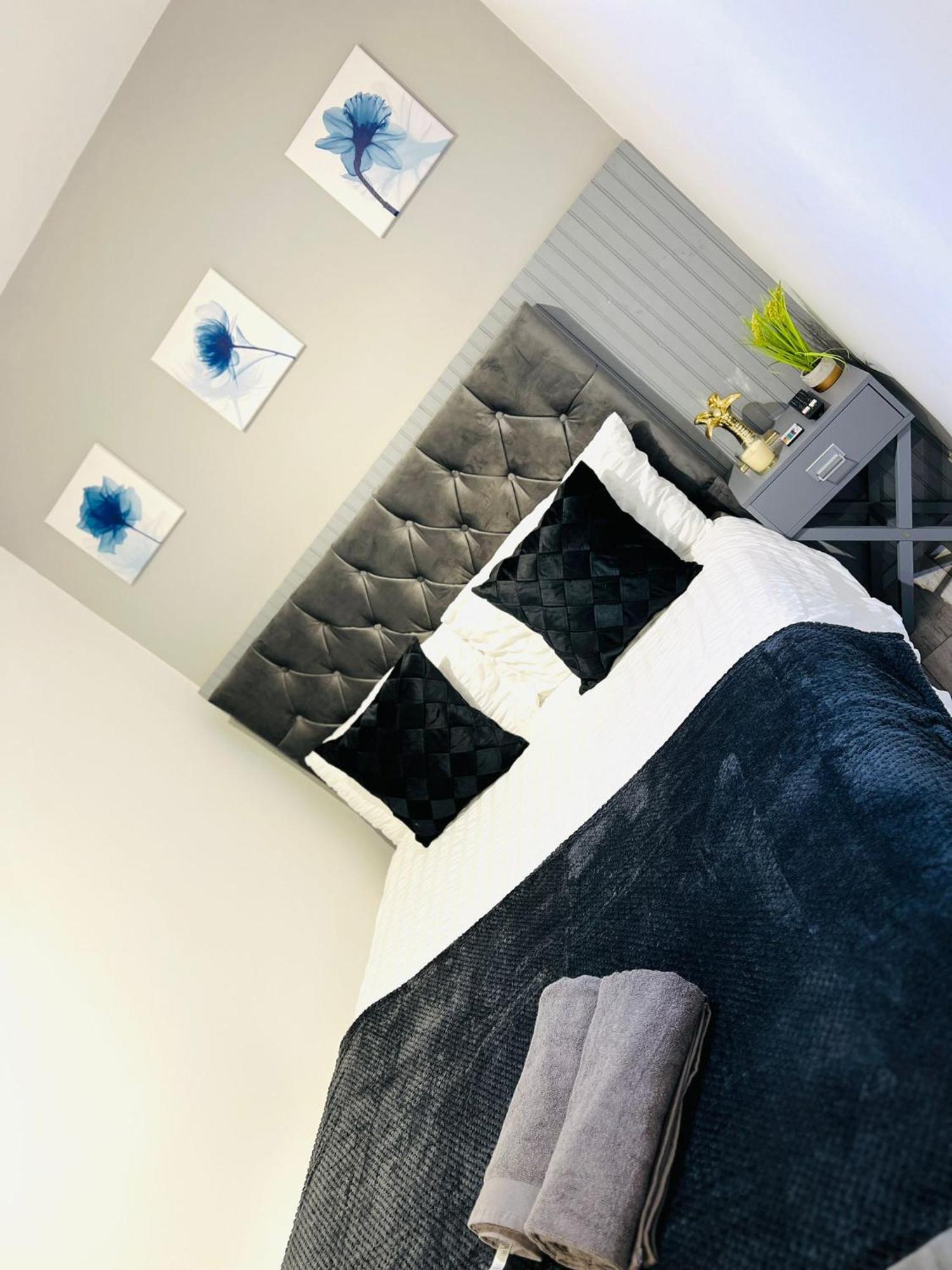In Location Appartement