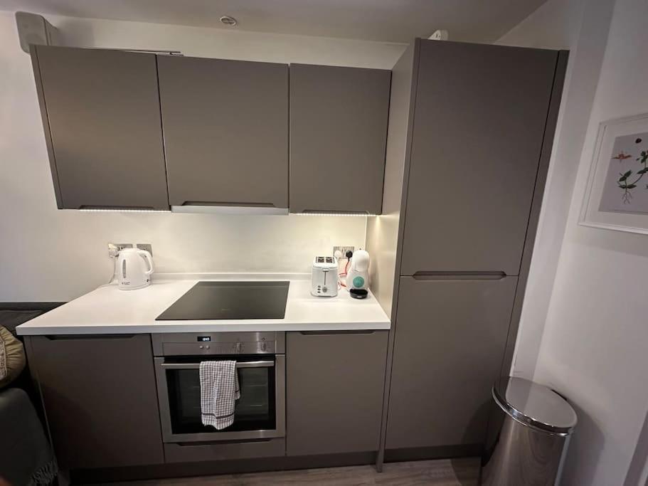 Modern Flat In Camden Town *
