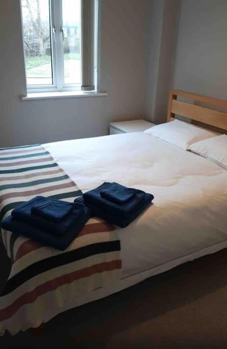 Modern Two Bed Flat In Canada Water Close To Transport Apartment