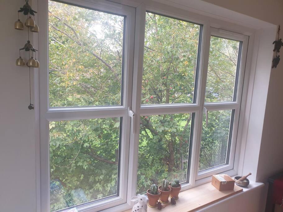 Peaceful On Sharing Flat In Wimbledon London