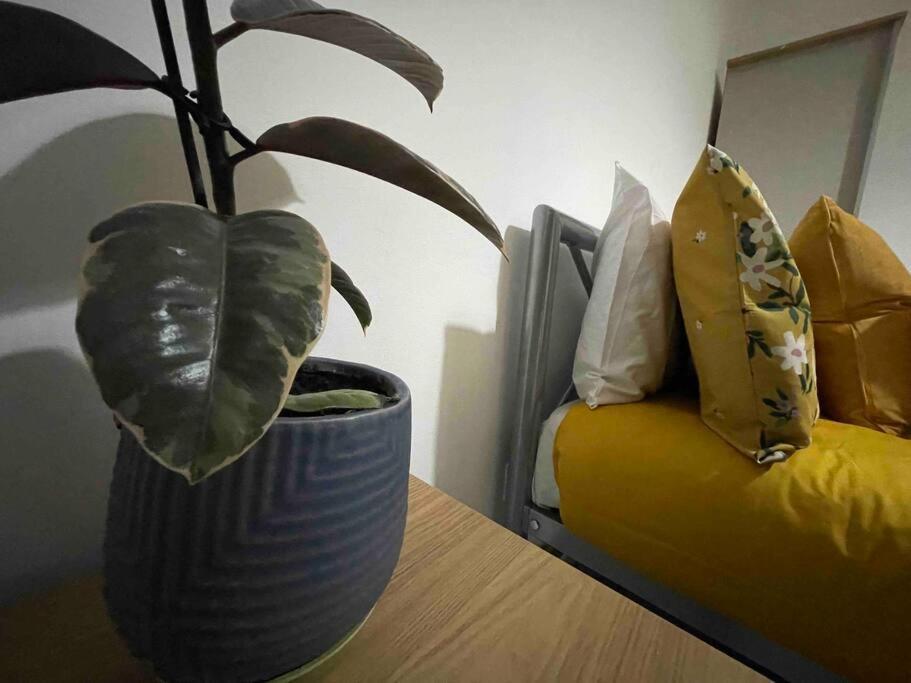 Victoria Mews Hoxton Shoreditch *