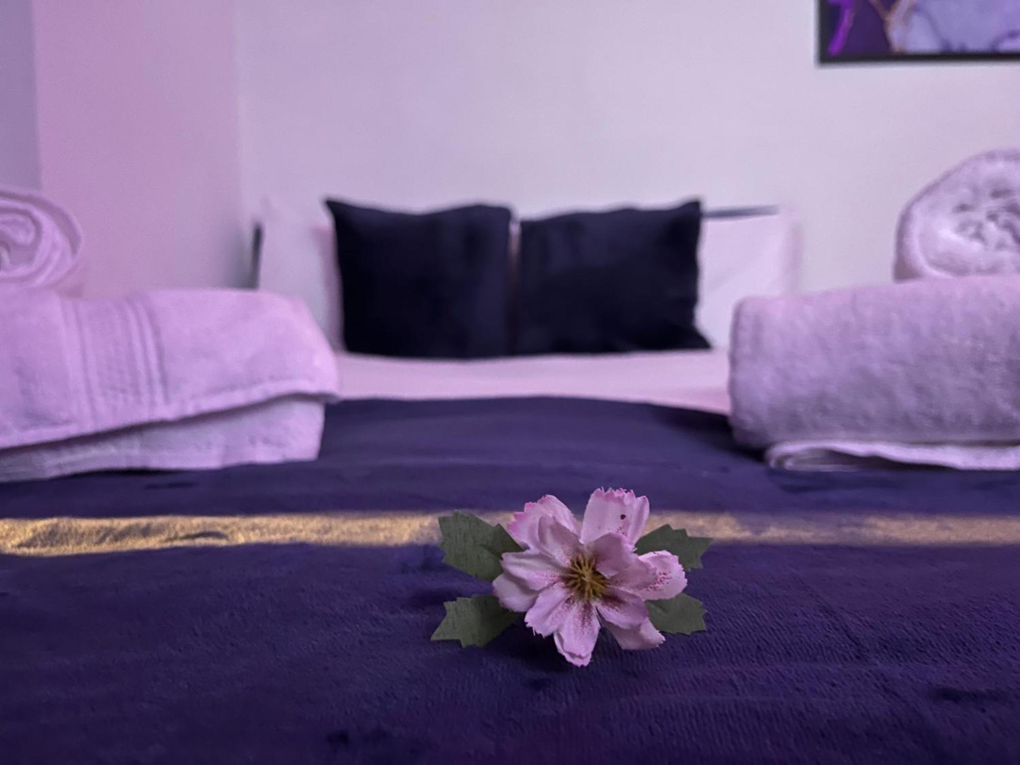 Apartamento In Camden, Location