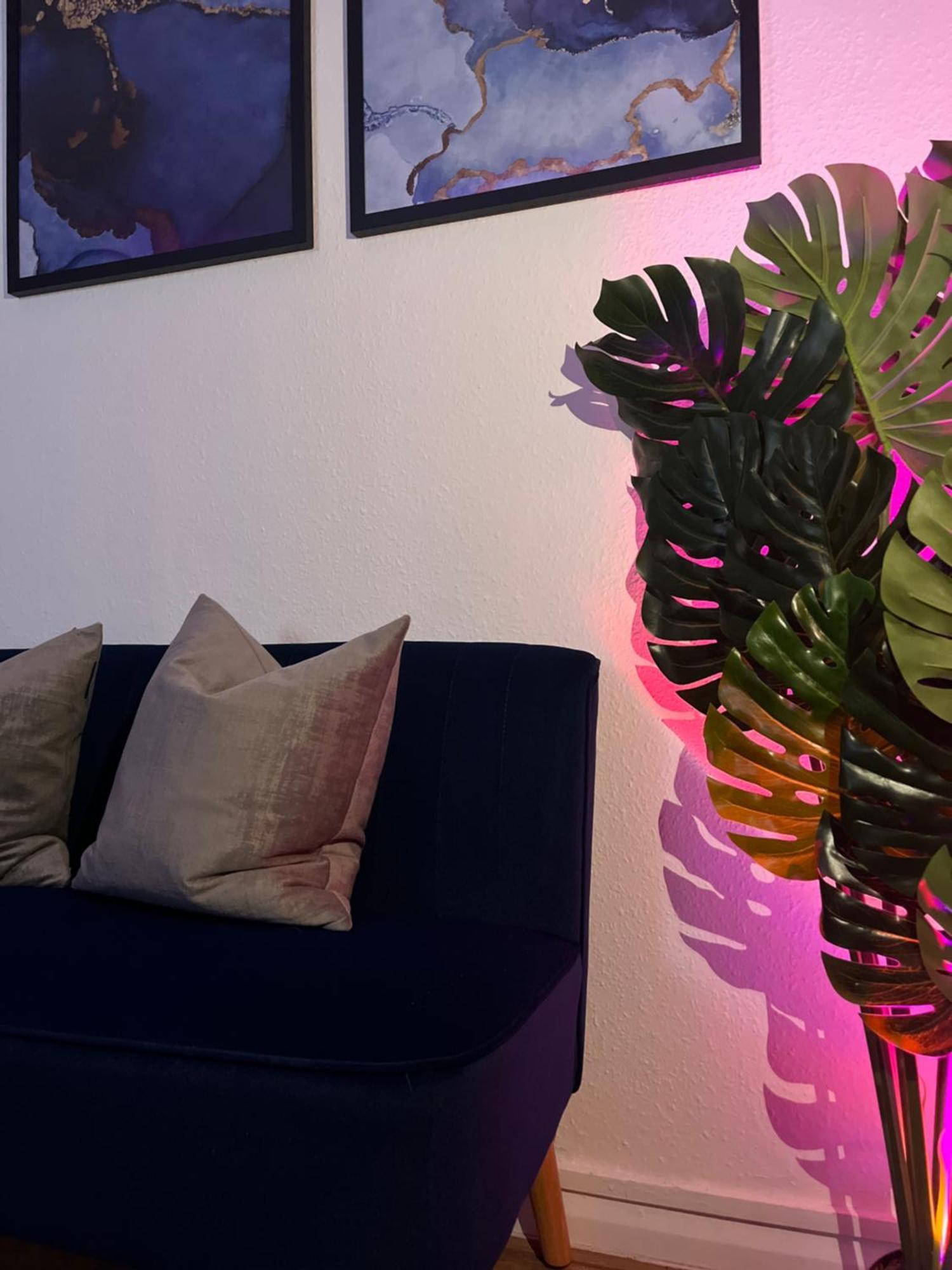 In Camden, Location Appartement