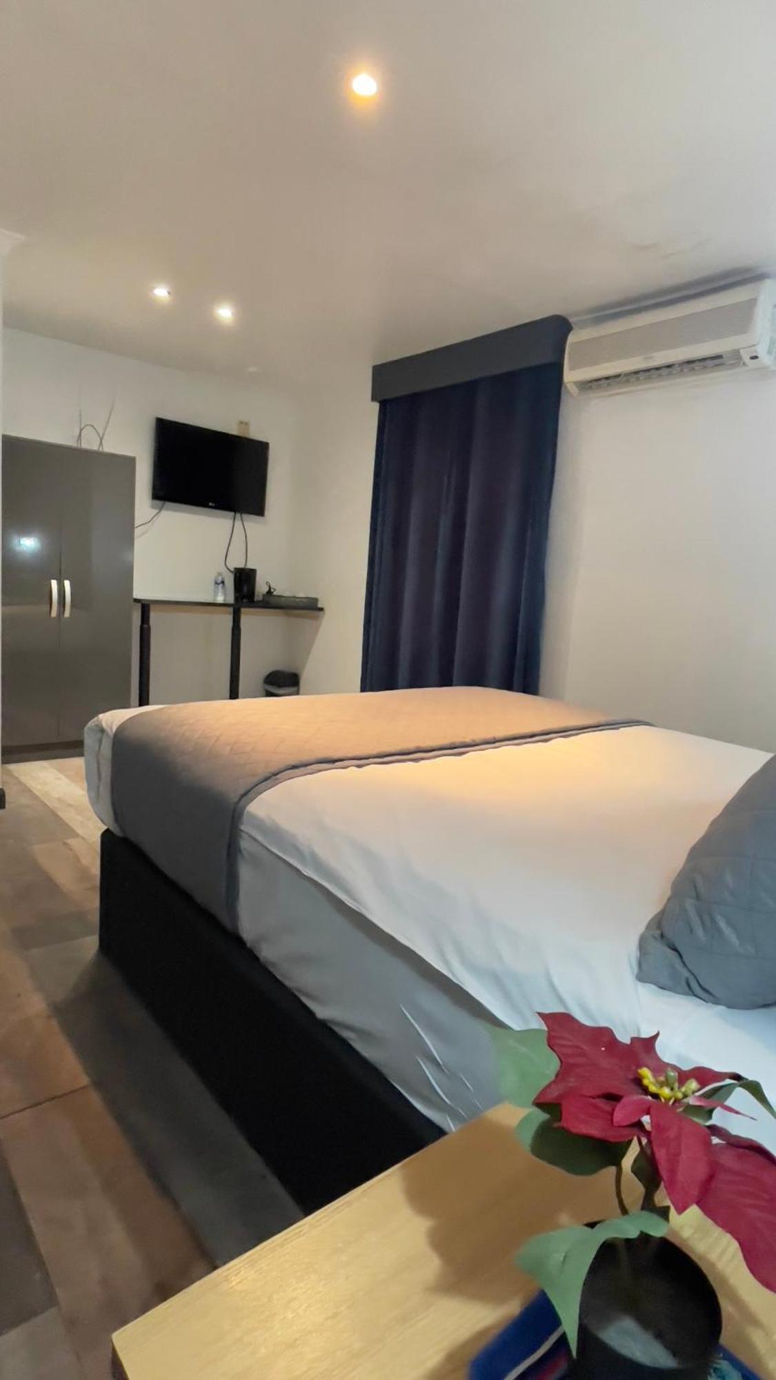 Pasha - 3* Boutique Hotel Londres