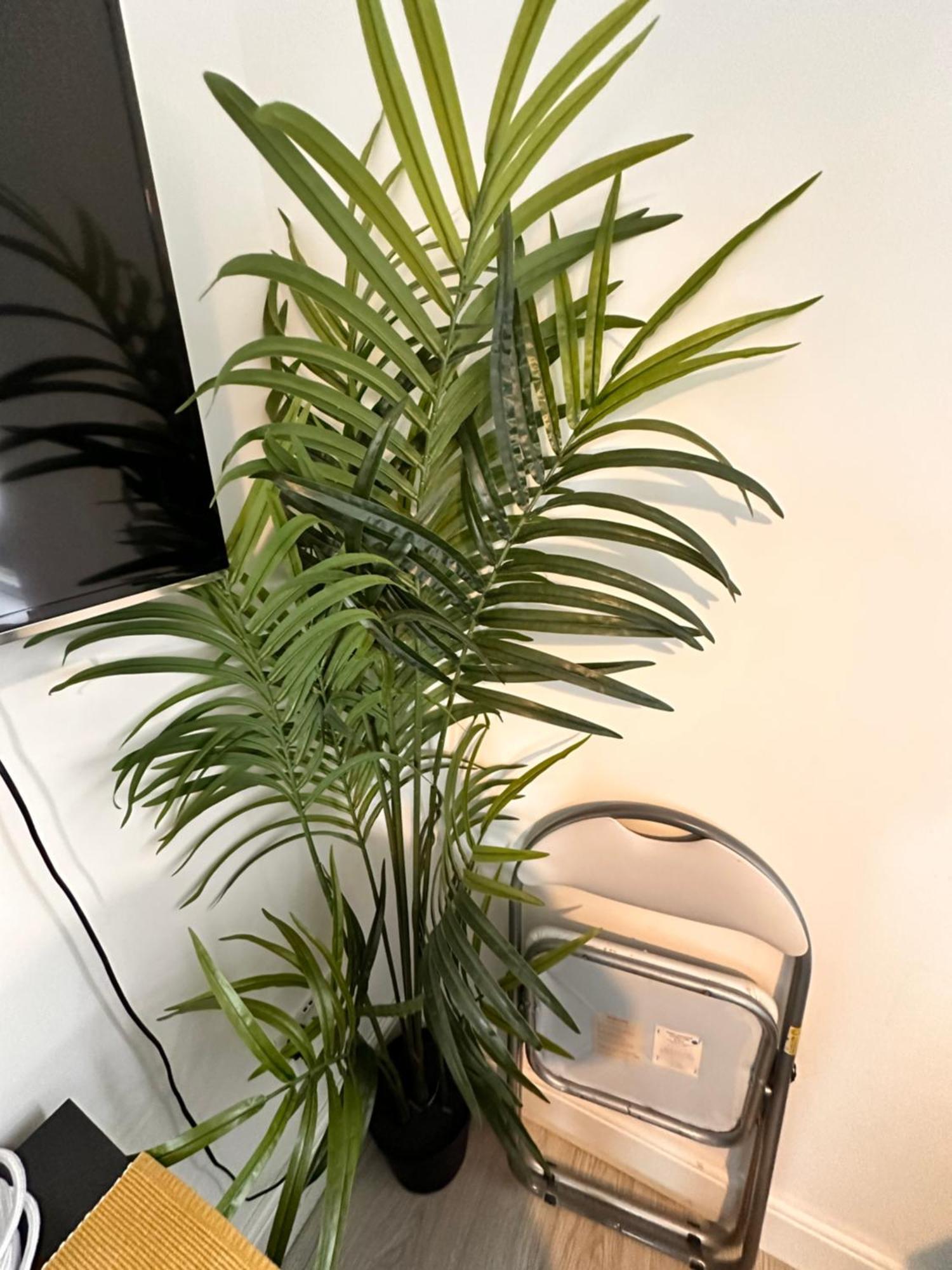 Lovely Self Contained Now Available Appartement Londen