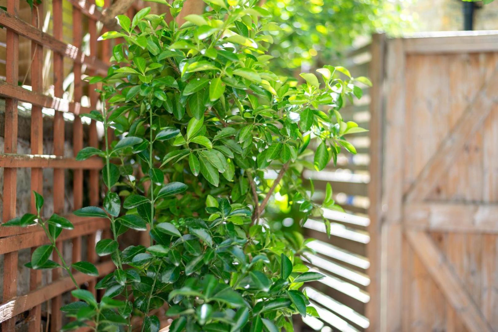 Guestready - Micro Garden Flat In Fulham Apartamento *