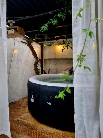 Live In Garden Hut Cinema With Hot Tub Séjour chez l'habitant Londres