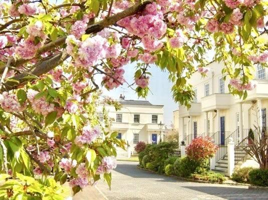 Séjour chez l'habitant Beautiful In Gated Community