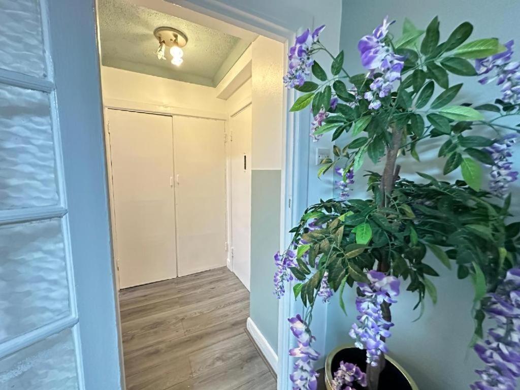 Appartement Beautiful Studio Central *