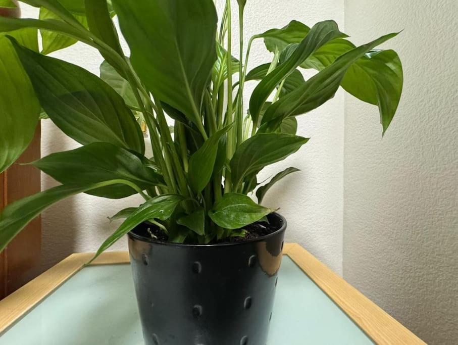 Tks Modern 1bed Flat, Appartement Londen