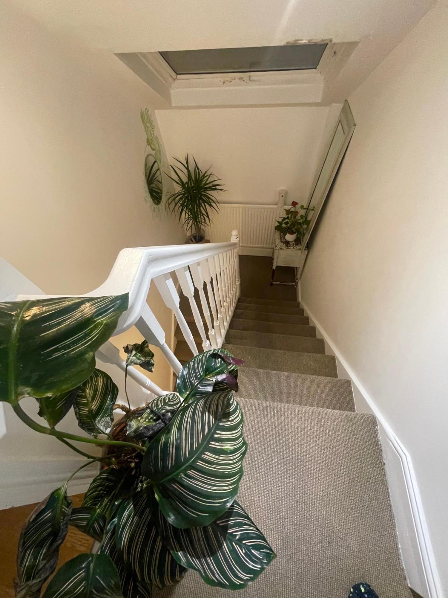 Privatunterkunft Cozy Close To Camden Market London