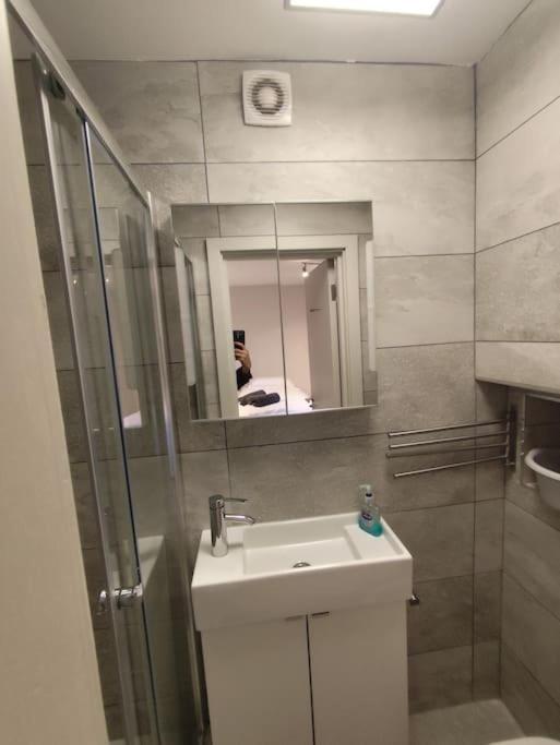 Conveniently Close To Tube Station Apartment