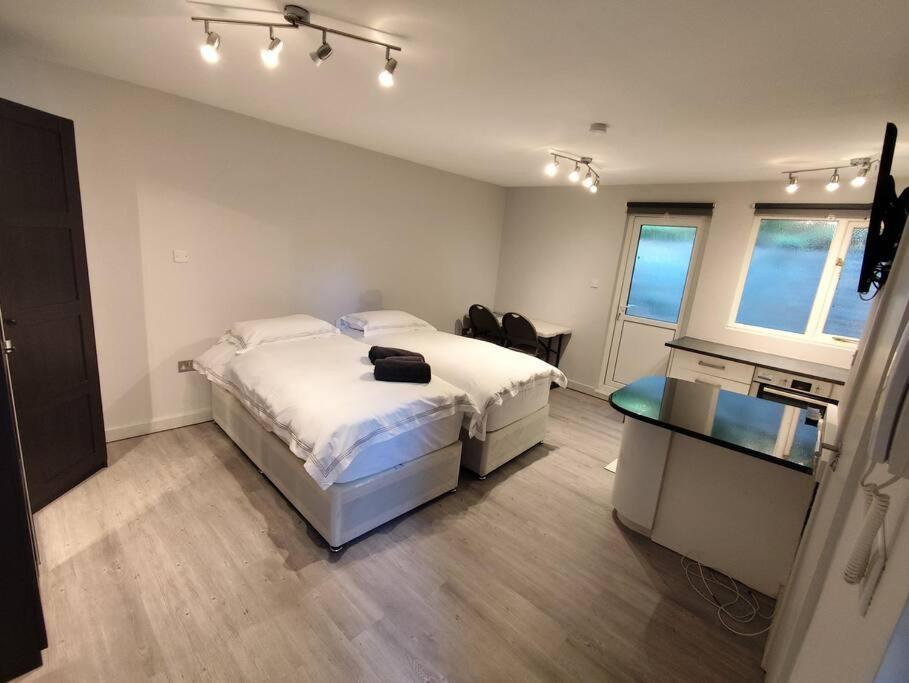 Conveniently Close To Tube Station Apartment