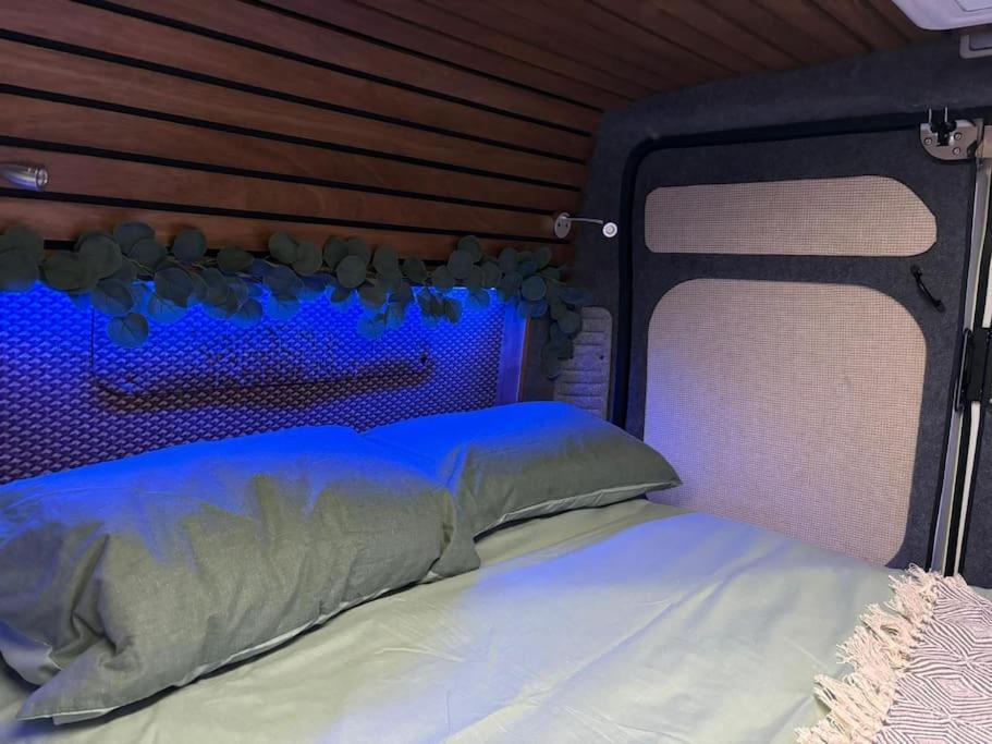 Vankind - Explore Like Never Before! Apartamento