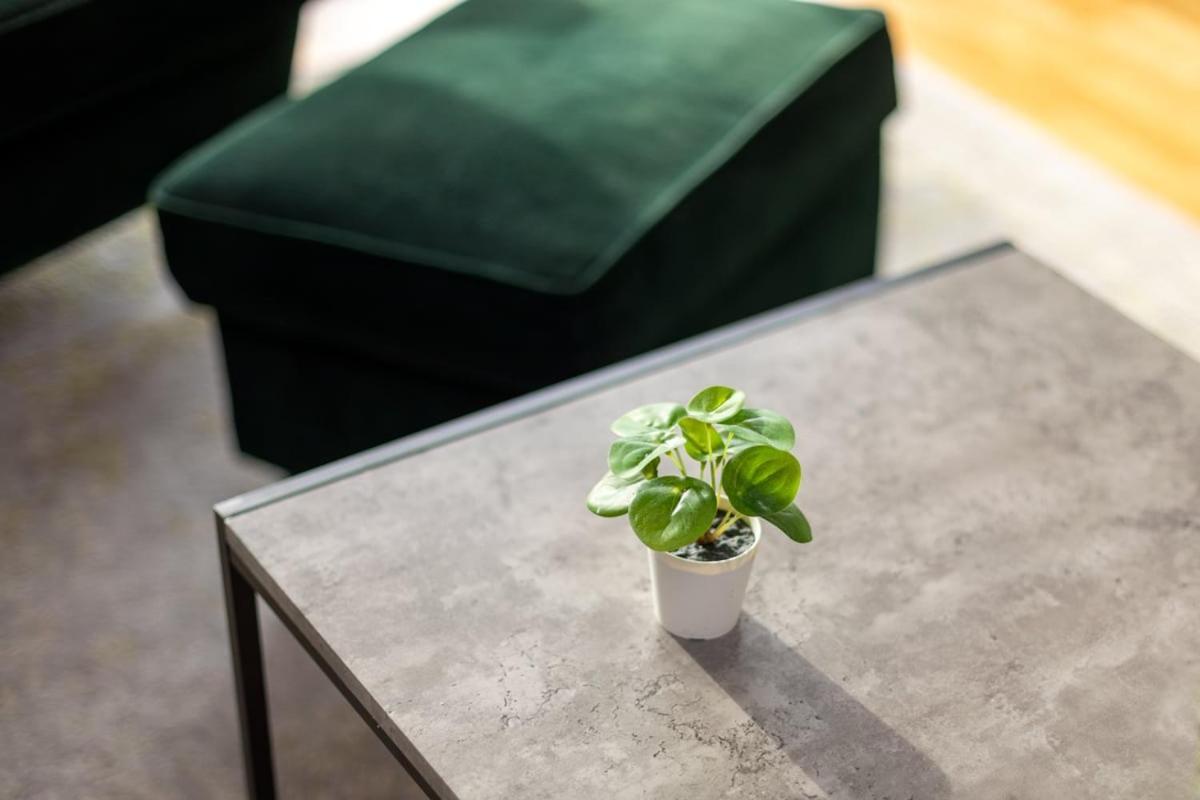Appartement Modern Chiswick Londres