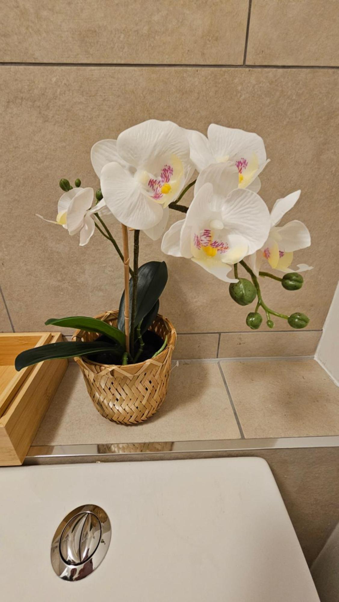 Modern Flat Near London! Apartamento *