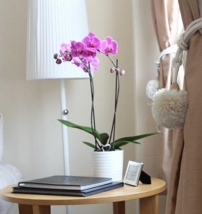 Kings Cross In Central Apartamento *