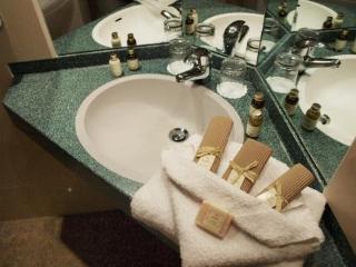 Express - Vauxhall Nine Elms Hotel 3*