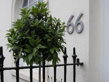 Belgravia Pensión 4*