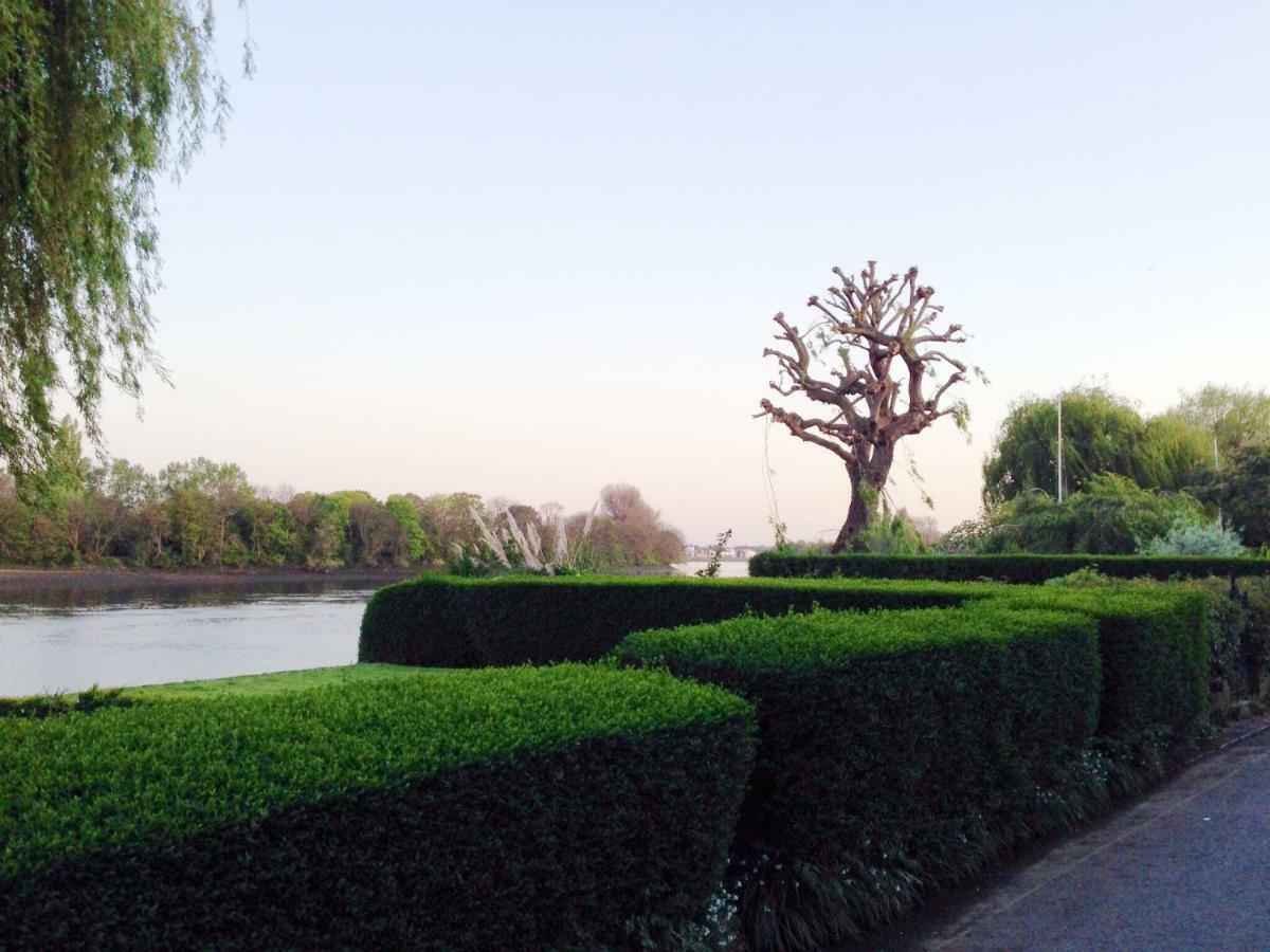 Muse Haus Riverside London