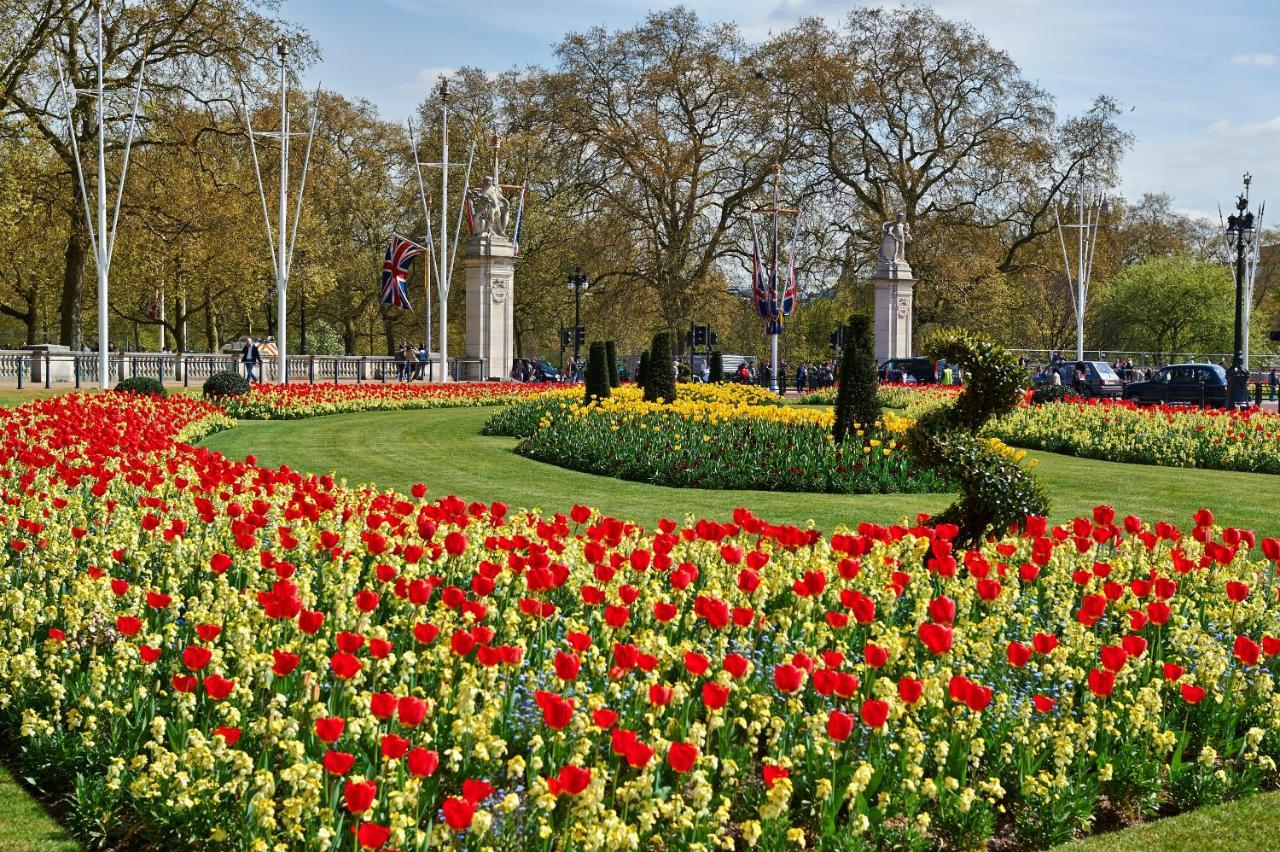The Fox Club Mayfair 4*